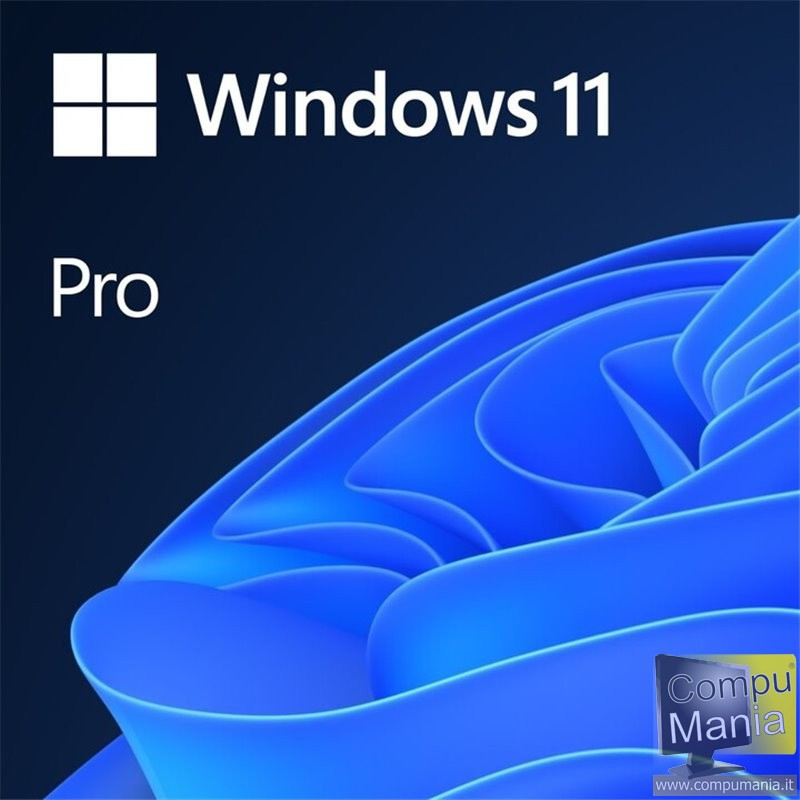 Windows 11 Professional 64 bit FQC-10538