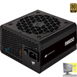 650W RM650 80 plus...